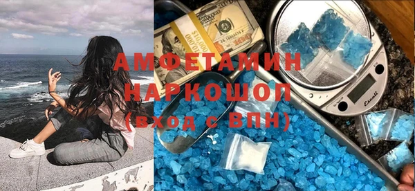 шишки Белокуриха