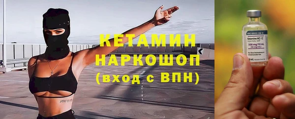 шишки Белокуриха