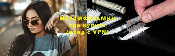 шишки Белокуриха