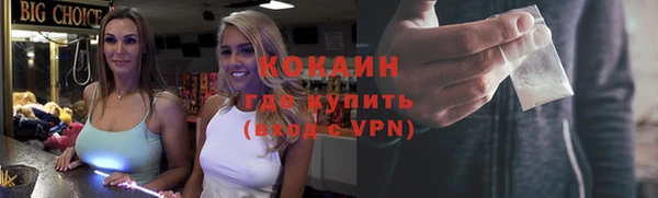 дживик Богданович