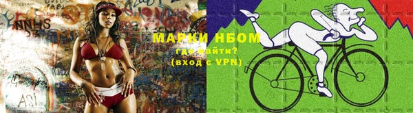 шишки Белокуриха