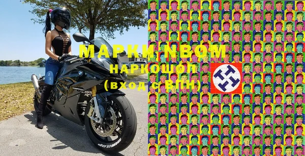 шишки Белокуриха