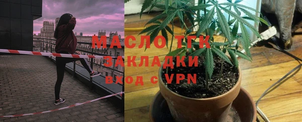 шишки Белокуриха