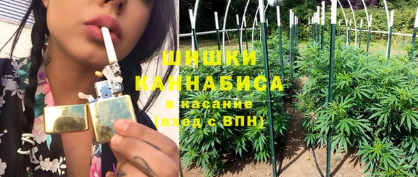шишки Белокуриха