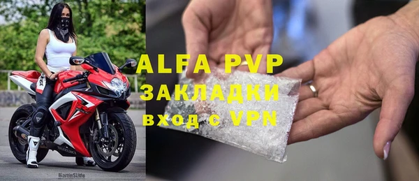 шишки Белокуриха