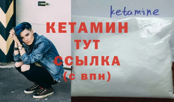 шишки Белокуриха