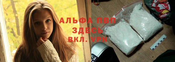 шишки Белокуриха