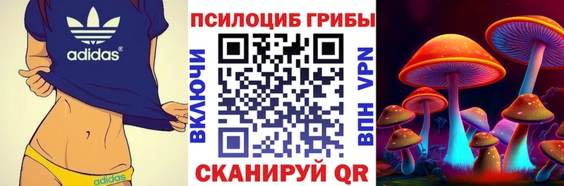 Псилоцибиновые грибы Cubensis  купить наркотик  Светогорск 